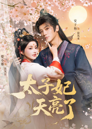太子妃天亮了短剧（80集宫廷短剧全集免费看）
