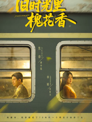 旧时光里槐花香短剧（70集暖心短剧高清全集在线看）