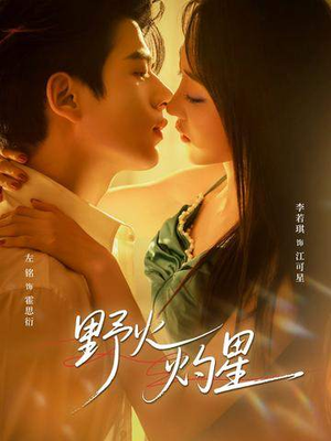 野火灼星短剧（56集都市爱情短剧在线高清看）