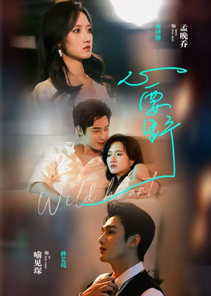 心要野短剧（62集热血短剧精彩全集在线看）