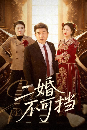 二婚不可挡短剧（36集都市情感短剧精彩大结局抢先看）