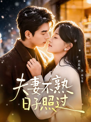 夫妻不熟，日子照过短剧（80集家庭短剧全集免费观看）