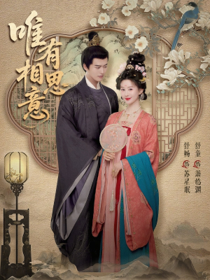 唯有相思意短剧（100集古风短剧高清全集免费看）