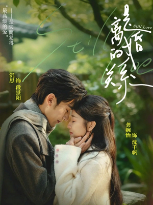 是离婚的关系短剧（67集都市短剧全集免费在线看）