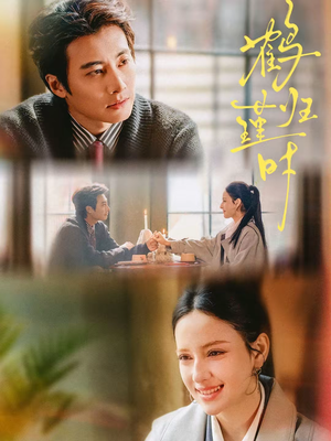 鹤归瑾时短剧（81集权谋短剧全集视频免费观看）