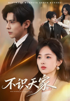 不识天家短剧（69集宫廷剧情短剧在线看无删减）