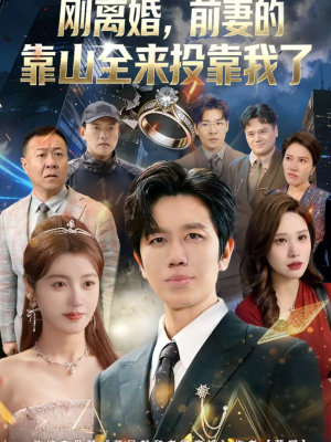 离婚，前妻的靠山全来投靠我了短剧（80集都市复仇短剧高清免费看）