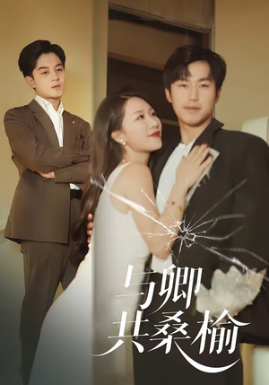 与卿共桑榆短剧（63集古风短剧高清无删减在线看）