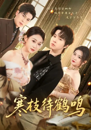 寒枝待鹤鸣短剧（70集权谋短剧超清全集在线播放）