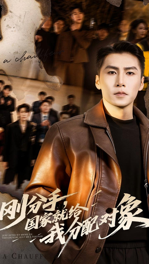 刚分手，国家就给我分配对象短剧（83集轻松短剧在线观看完整版）