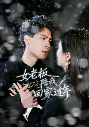 女老板陪我回家过年短剧（40集都市喜剧短剧全集免费观看）