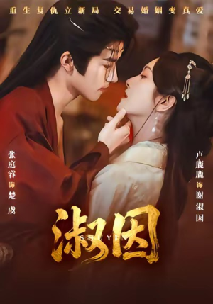 淑因短剧（65集情感短剧免费高清观看）