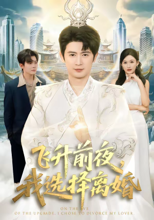 飞升前夜，我选择离婚短剧（80集修仙短剧完整版在线播放）
