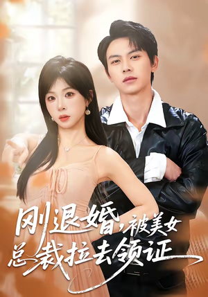 刚退婚，被美女总裁拉去领证短剧（81集都市爱情短剧全集畅享看）