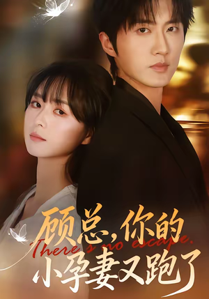 顾总，你的小孕妻又跑了短剧（47集都市爱情短剧在线免费看全集）