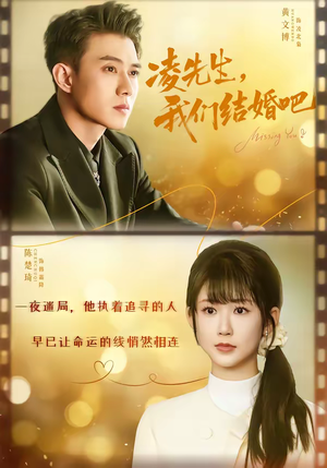 凌先生，我们结婚吧短剧（68集都市短剧在线看完整版）