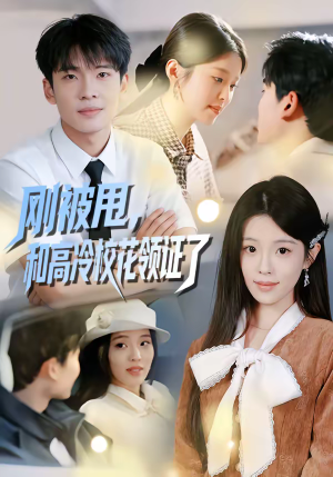 刚被甩，和高冷校花领证了短剧（67集校园短剧超清免费看全集）