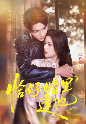 恰好暗里逢他短剧（66集都市短剧完整版在线看）