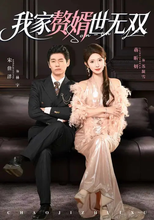 我家赘婿世无双短剧（73集精彩短剧全集高清在线播放）