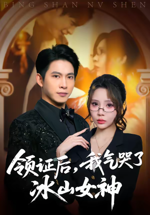 领证后，我气哭了冰山女神短剧（60集都市情感短剧在线畅享全集）