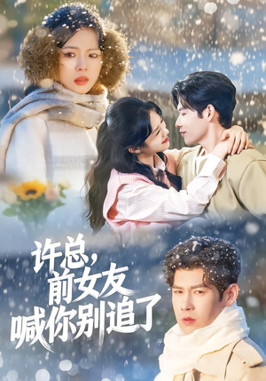 许总，前女友喊你别追了短剧（80集都市短剧免费观看全集）