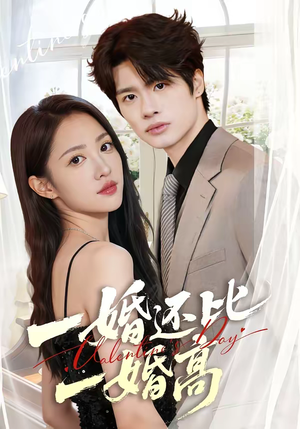 一婚还比一婚高短剧（65集情感故事短剧高清全集在线播放）