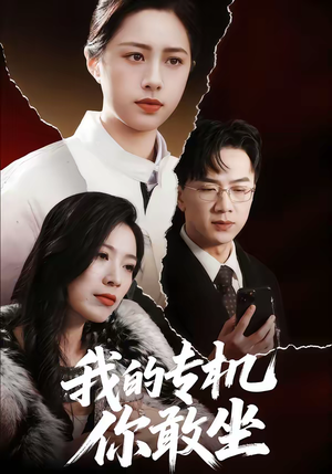 我的专机你敢坐短剧（62集现代短剧高清在线看全集）