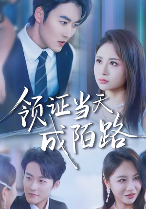 领证当天成陌路短剧（39集爱情短剧在线看全集）