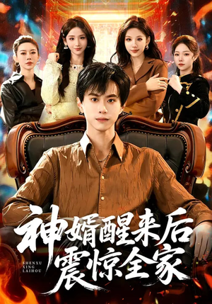 神婿醒来后震惊全家短剧（80集豪门逆袭短剧在线观看全集）