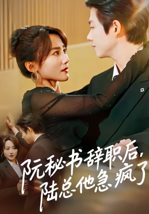 阮秘书辞职后，陆总他急疯了短剧（80集都市职场短剧在线观看全集）