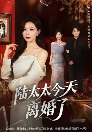 陆太太今天离婚了短剧（59集都市短剧高清全集在线看）