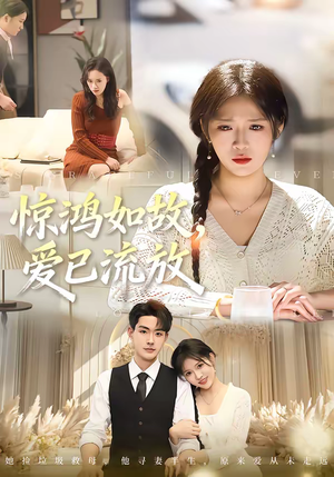 惊鸿如故，爱已流放短剧（81集爱情短剧在线观看完整版）
