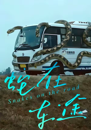 蛇在车途短剧（34集冒险短剧在线高清观看）