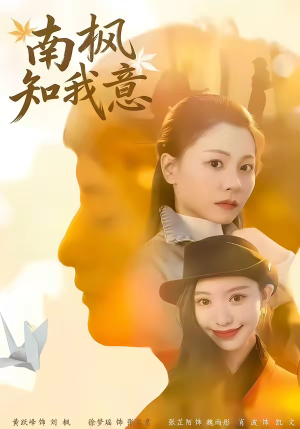 南枫知我意短剧（41集甜蜜短剧完整版免费看）