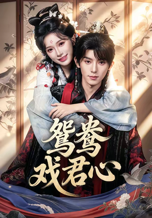 鸳鸯戏君心短剧（60集古装短剧在线看完整版）