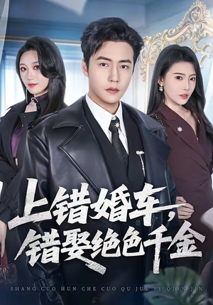 上错婚车，错娶绝色千金短剧（80集浪漫爱情短剧在线免费看）