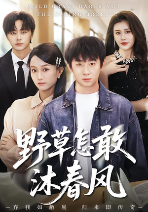 野草怎敢沐春风短剧（61集都市情感短剧免费高清看）