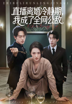 直播离婚冷静期，我成了全网公敌短剧（70集都市情感短剧高清在线看）