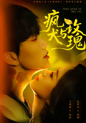 疯犬与玫瑰短剧（80集都市情感短剧全集视频免费看）