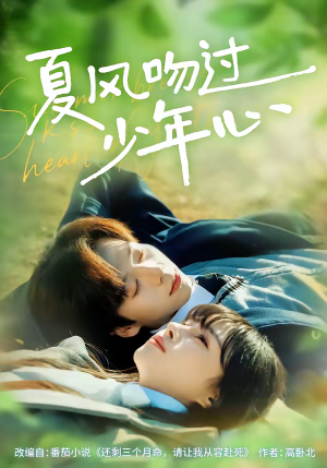 夏风吻过少年心短剧（76集青春短剧高清全集在线看）