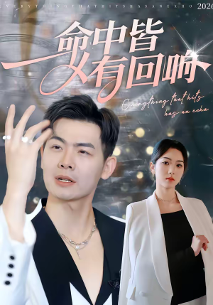 命中皆有回响短剧（62集都市情感短剧免费看全集）