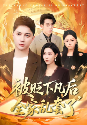 被贬下凡后全家乱套了短剧（88集仙侠短剧精彩剧情在线看全）