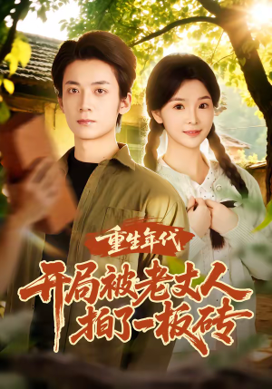 重生年代开局被老丈人拍了一板砖短剧（82集年代短剧精彩全集免费看）