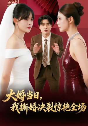 大婚当日，我撕婚决裂惊艳全场短剧（69集都市逆袭短剧完整版观看）