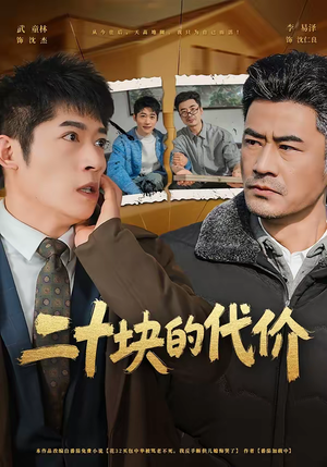 二十块的代价短剧（64集社会短剧高清在线观看）