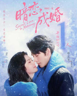 暗恋成婚短剧（60集都市情感短剧完整版免费看）