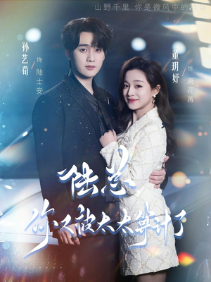 陆总，你又被太太算计了短剧（70集都市短剧畅享高清全集）