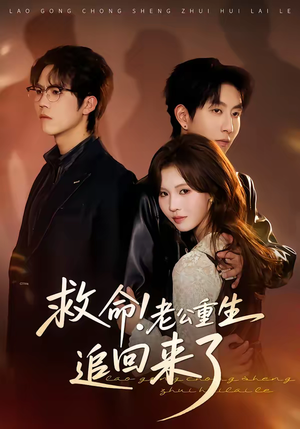 救命！老公重生追回来了短剧（40集重生短剧高清全集免费看）