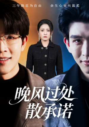 晚风过处散承诺短剧（65集情感短剧高清视频免费看）