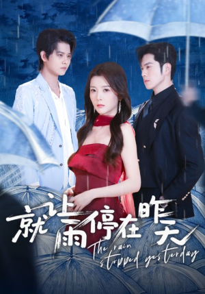 就让雨停在昨天短剧（70集都市情感短剧高清免费看）